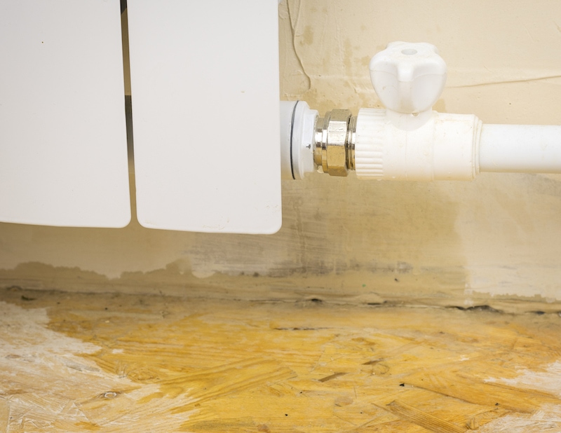 Common Water Leaks In House