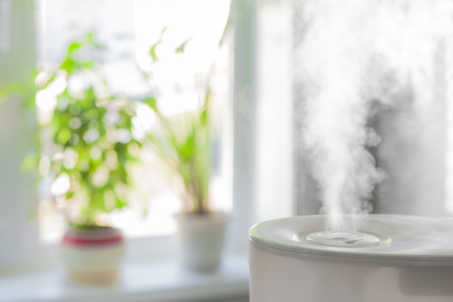 Vapor from humidifier in front of window in michigan.