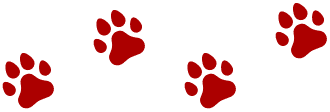 page-title-pawprints