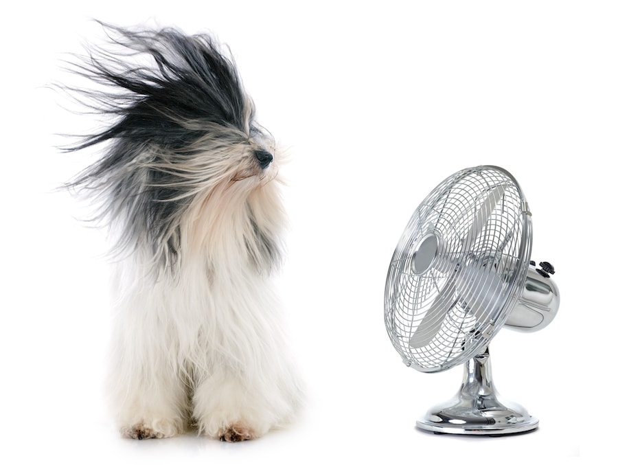 When Is the Best Time to for an AC Tune-Up?