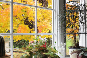 Fall leaves on a tree outside a homes window.