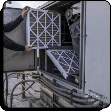 Professional Commercial Maintenance